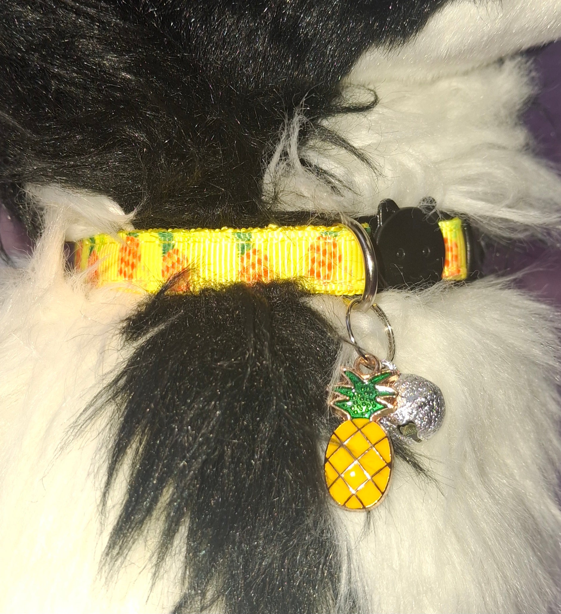 Fruit Cat Collars