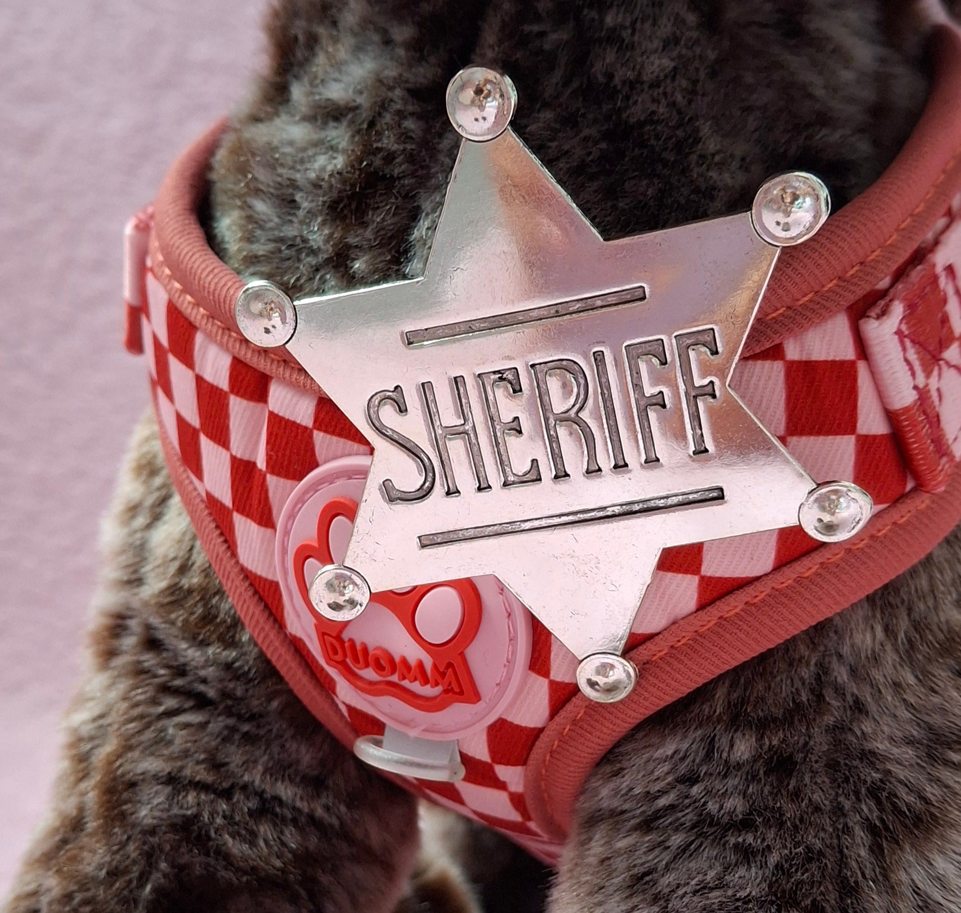 Sheriff Badge