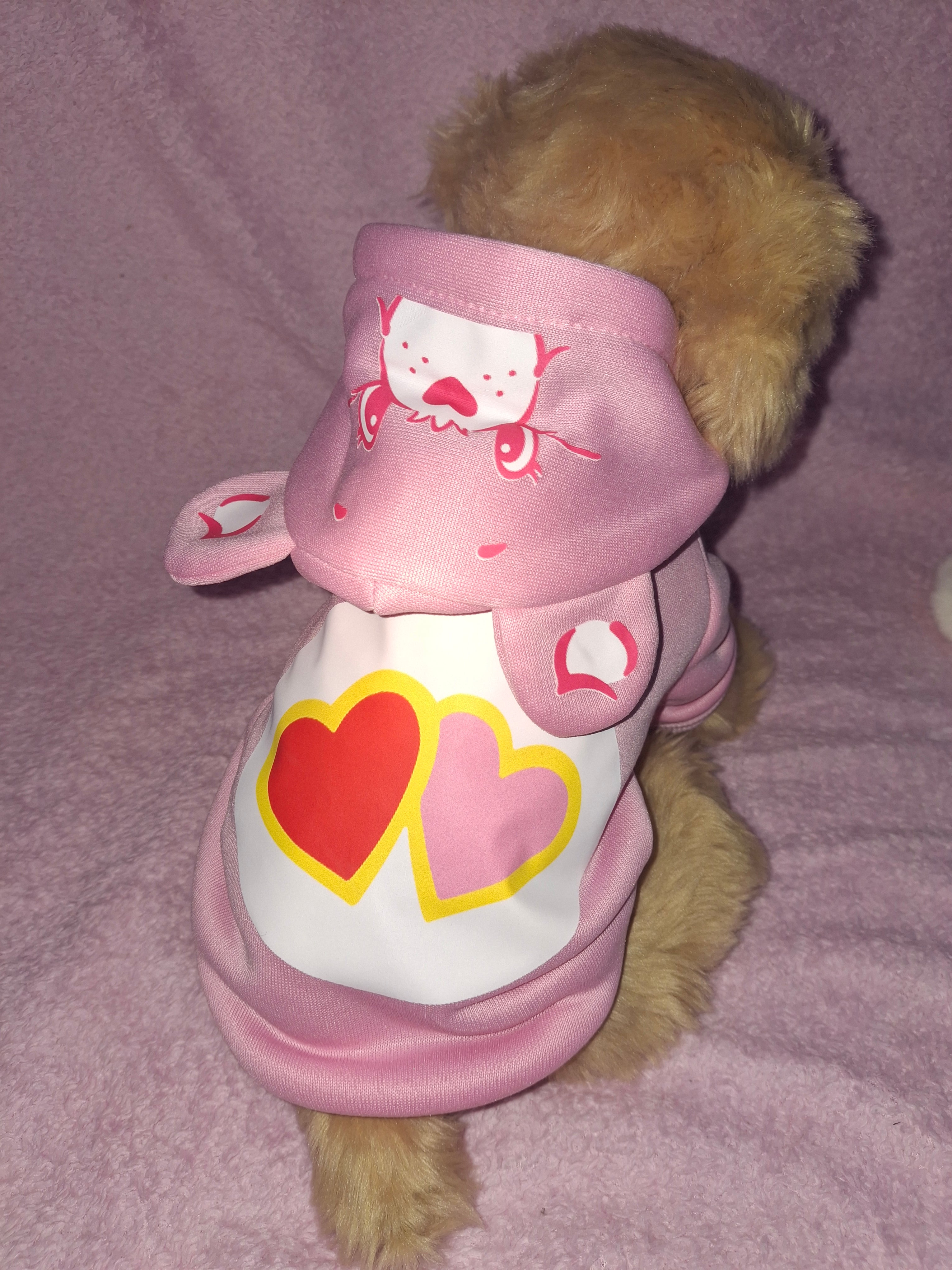 Care Bear Hoodies Variant 2