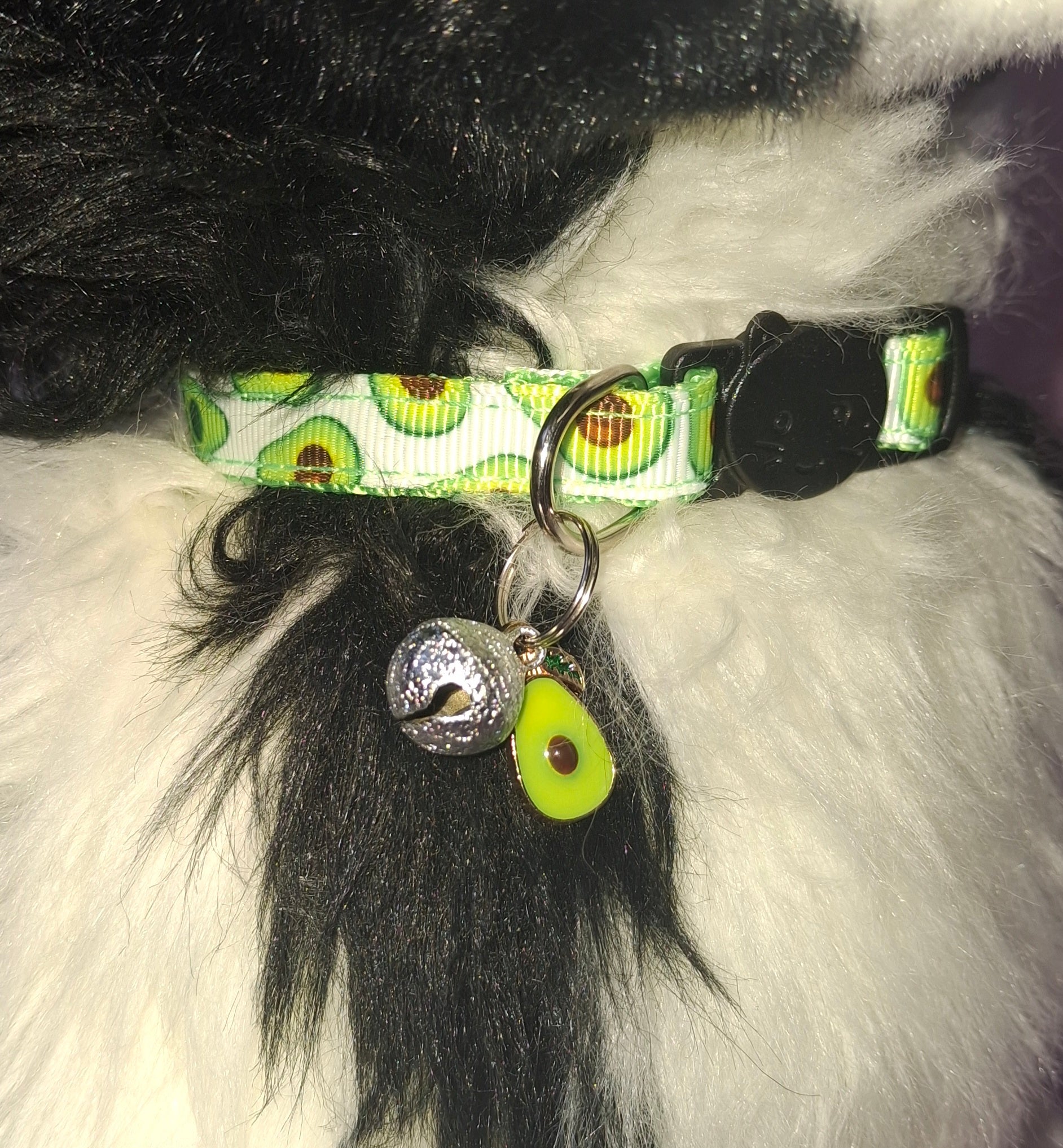 Fruit Cat Collars